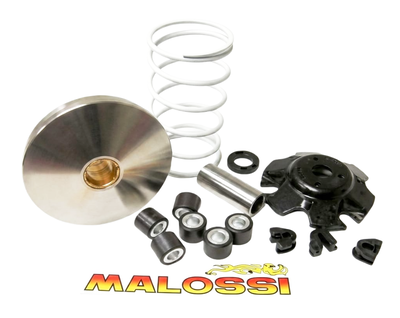 Variator Gilera Piaggio Ny Modell Malossi