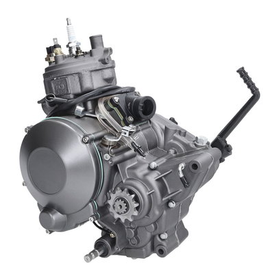 Motor Minarelli AM6