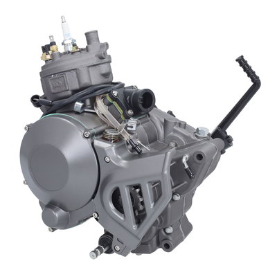 Motor Minarelli AM6