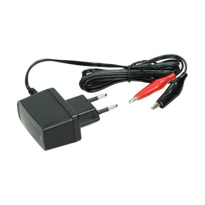 Batteriladdare 12V