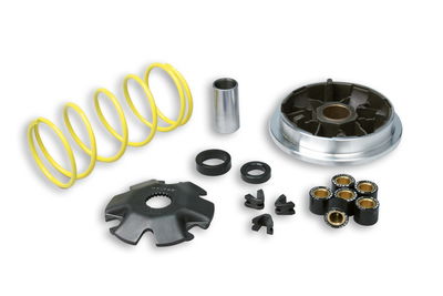 Variator Aprilia Habana Malossi