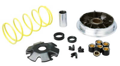 Variator Aprilia Habana Malossi