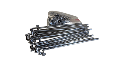 PXL_20260329_110022063