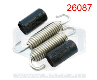 Avgassystem fjäder sats 53mm inox Polini