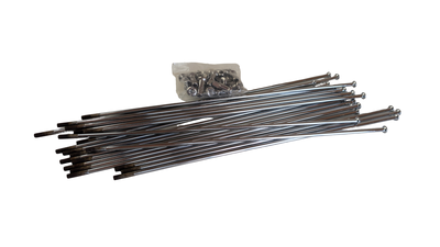 PXL_20260329_104245201