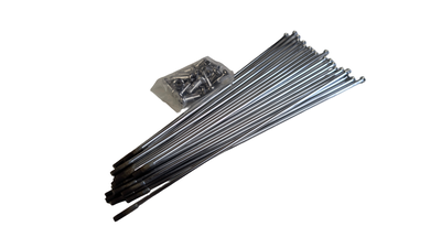 PXL_20260329_103107322