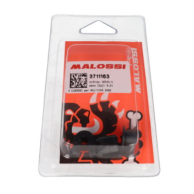 Variator sliders sats Piaggio for 19x15.5mm vikter Malossi MHR
