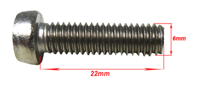 Bout Roestvrij M6x22 met Sleufkop