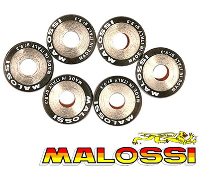 Variator Vikter Sats 19X15.5 5.5Gr Malossi