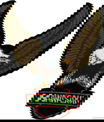 Kawasaki Adelaar Patch – 20 × 25 cm