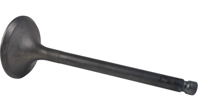 VENTIL,IN.YAMAHA 1J7-12111-00