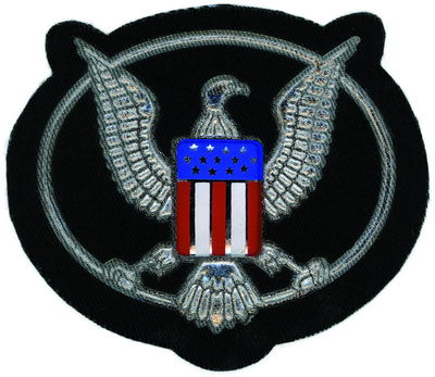 Patch – Amerikaanse Adelaar – 10 × 9 cm