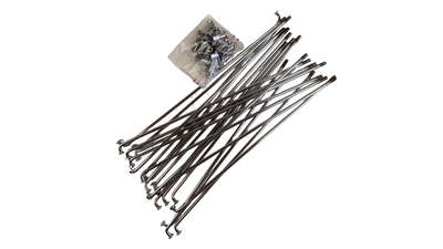 PXL_20260329_102451342