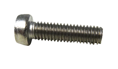 Bout Roestvrij M6x22 met Sleufkop