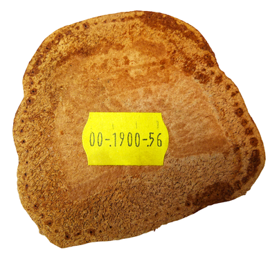 Skinnmärke / lädermärke Goldwing 7×7,5 cm