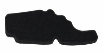 Luchtfilter Aprilia / Derbi / Malaguti / Piaggio 4t