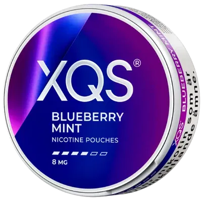 XQS Blueberry Mint Strong