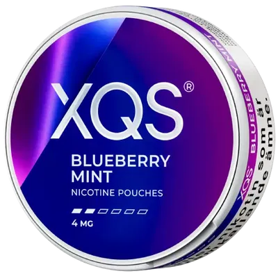 XQS Blueberry Mint Light