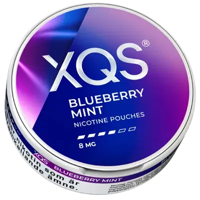 XQS Blueberry Mint Strong